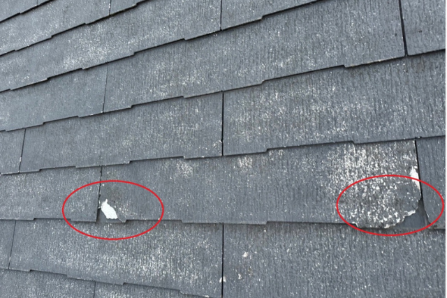 アスベストの全面禁止によって普及した屋根材「コロニアルNEO」